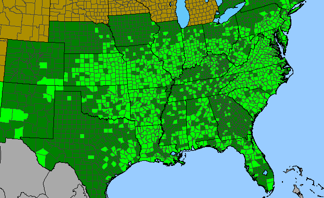 The range of Bidens bipinnata
